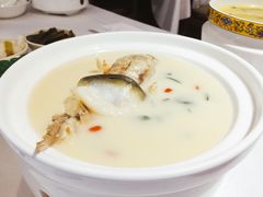 养颜白汁河豚-肆月河豚·新淮扬(金融街店)