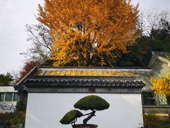 -水绘园
