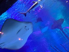 -沈阳海洋探索中心