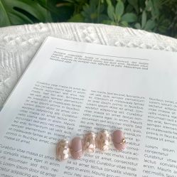 -BELLAREAL新美社