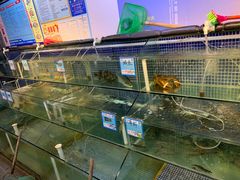 -庆余生平价生猛海鲜(海棠湾林旺夜市店)