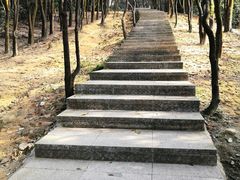 -火炉山森林公园