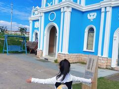 -杭州湾海上花田景区