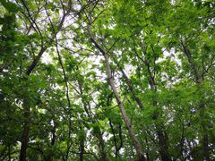 -兴旺渔家