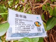 -桃花涧