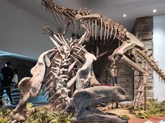 -自贡恐龙博物馆