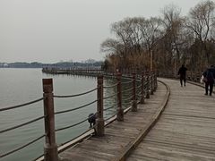 -溱湖国家湿地公园