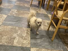 -晓马鸭店(新芜路店)