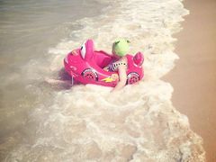 -惠州金海湾嘉华度假酒店