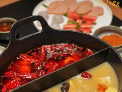 -大龙燚·旷野鲜火锅(广州首店)