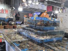 -大连双兴商品城