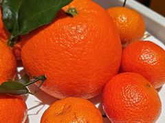 -湖北三五醇酒店·35年新楚菜