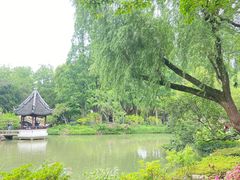 -上海醉白池公园