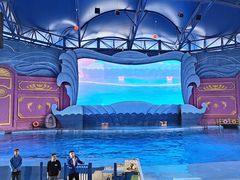 -横店影视城梦幻谷园区