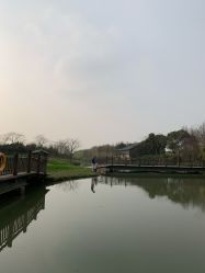 -水八仙生态园