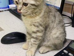 -瑞鹏宠物医院