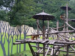 -北京野生动物园