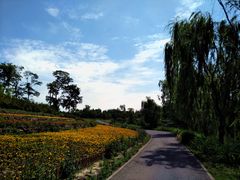 -白鹭湾湿地公园