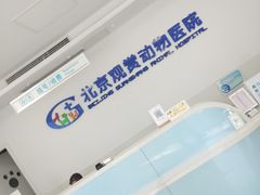 -北京观赏动物医院·24小时大型综合·猫专科·异宠专科