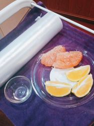 -OBN欧碧奴美容连锁