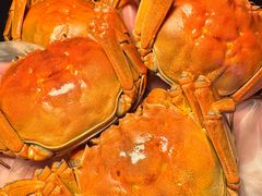 -红盔甲·小龙虾(定西路店)