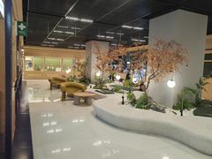 -帕帕拉兹宠物(亚洲旗舰店)