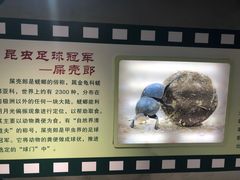 -上海昆虫博物馆