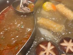 -掂档潮汕牛肉火锅(沈阳万象城店)