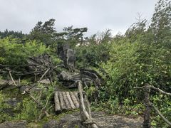 -山王坪喀斯特国家生态公园