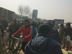 -蒲河大集