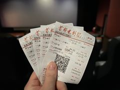 -首都电影院(金融街店 杜比全景声)