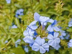 -中国天府农业博览园