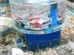 -张树军海鲜(王府壹号店)