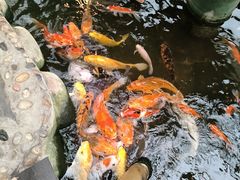 -上海大自然野生昆虫馆(东方明珠·爬宠昆虫探索中心)