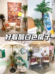 -好看加白色房子