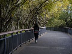 -金鸡山公园