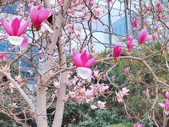 -中铁·中环时代广场