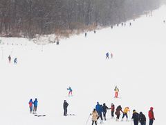 -五家山森林公园滑雪场