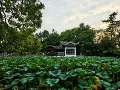 -无锡蠡湖国家湿地公园-蠡园