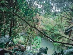 -燕晗山郊野公园