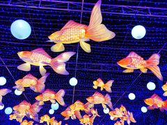 -海合安成都极地海洋公园