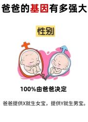 -上海百佳妇产医院