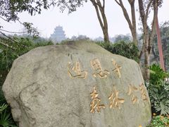 -鸿恩陶然大观园