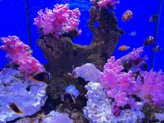 -多彩贵州城极地海洋世界