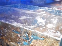 -徐记海鲜(大雁塔|金都店)