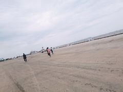 -皮口港