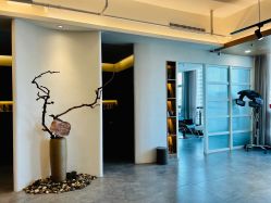 -C-18 SALON