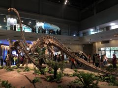 -自贡恐龙博物馆