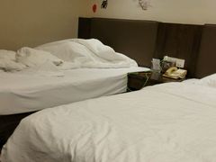 -圣爵菲斯大酒店(长沙世界之窗店)