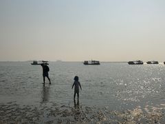 -北海金海湾红树林生态旅游区